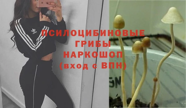 эйфоретик Нефтекумск