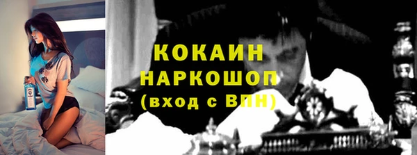 спиды Нея