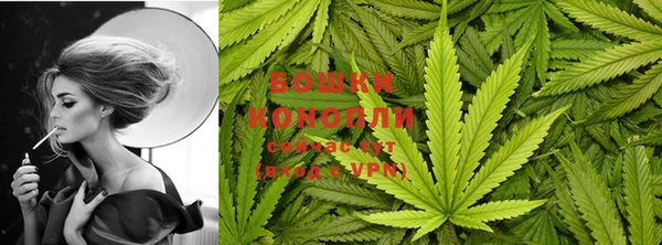 спиды Нея