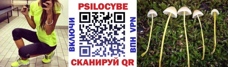 KRAKEN tor  нарко площадка клад  Псилоцибиновые грибы MAGIC MUSHROOMS  Киров 