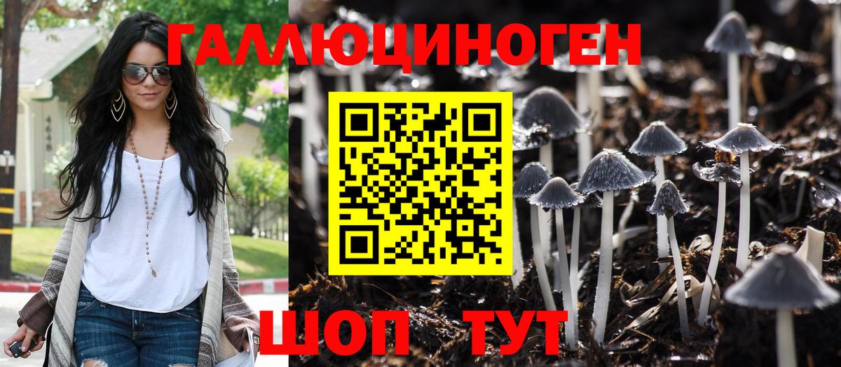 Галлюциногенные грибы Psilocybe  Киров 