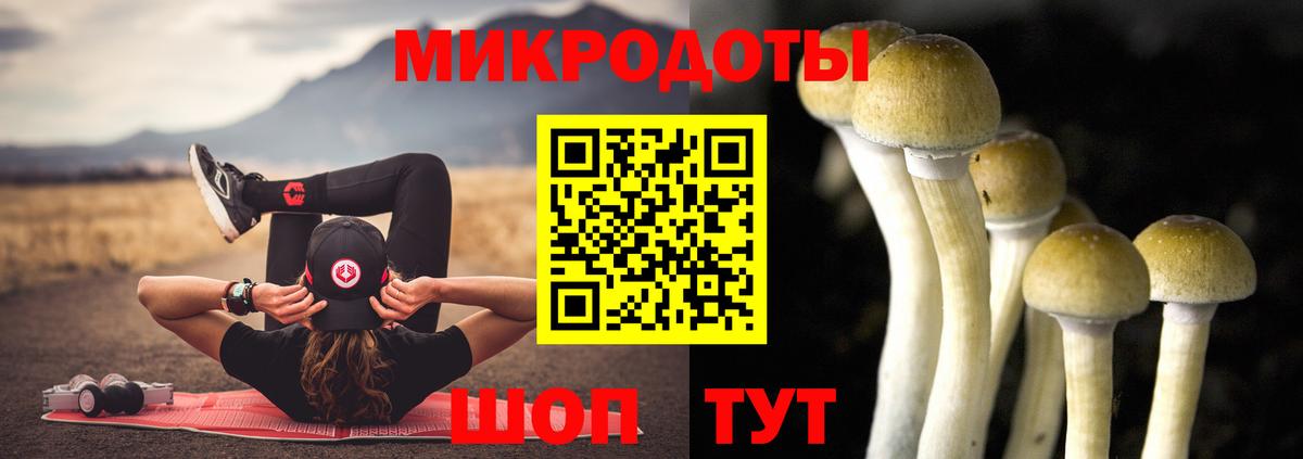 Галлюциногенные грибы мицелий Киров