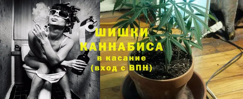 наркота  Киров  Конопля SATIVA & INDICA 